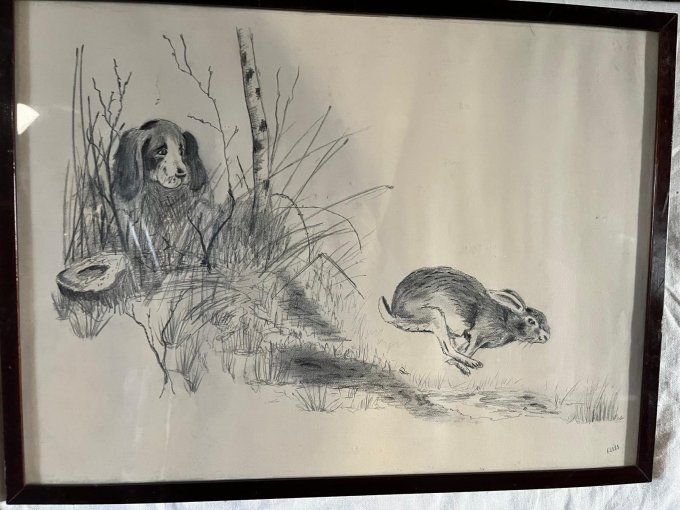 Chien surpris par un lièvre