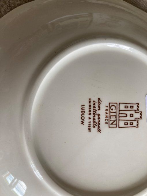  1 Assiette  creuse  Gien Ludlow