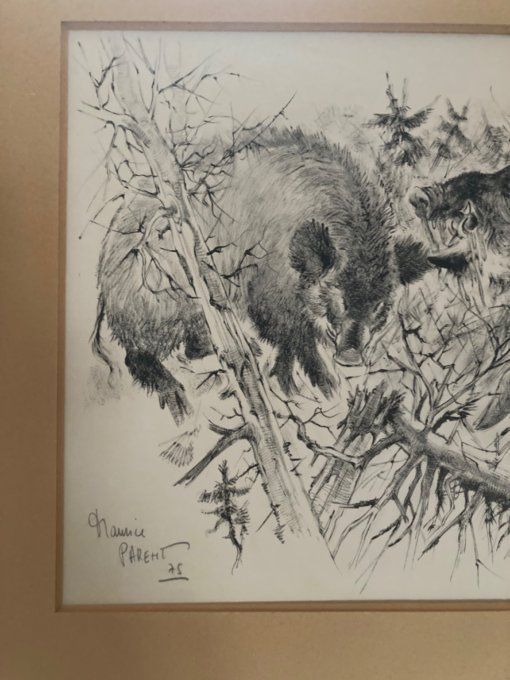 Maurice Parent  Rut des sangliers.