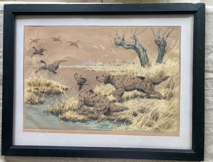 Georges Rotig. Chiens de chasse débusquant des gibiers d eau