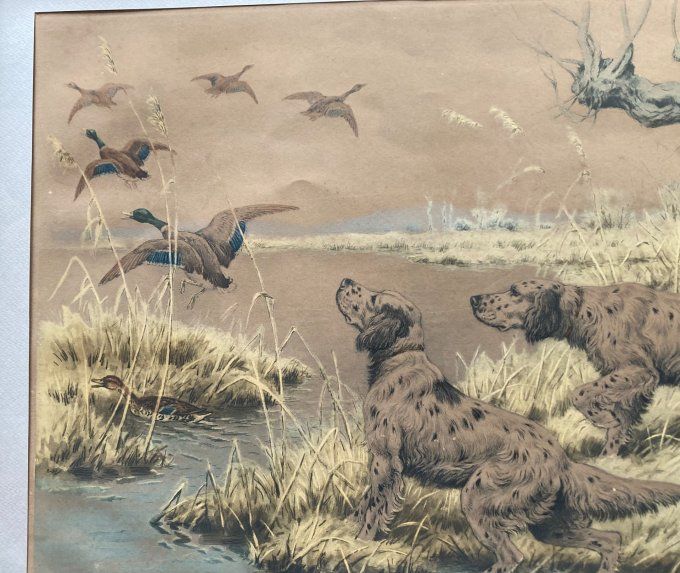 Georges Rotig. Chiens de chasse débusquant des gibiers d eau
