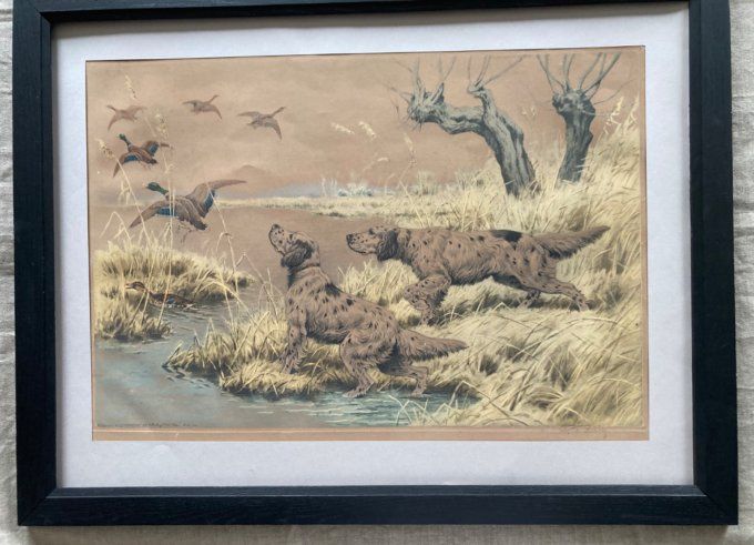 Georges Rotig. Chiens de chasse débusquant des gibiers d eau