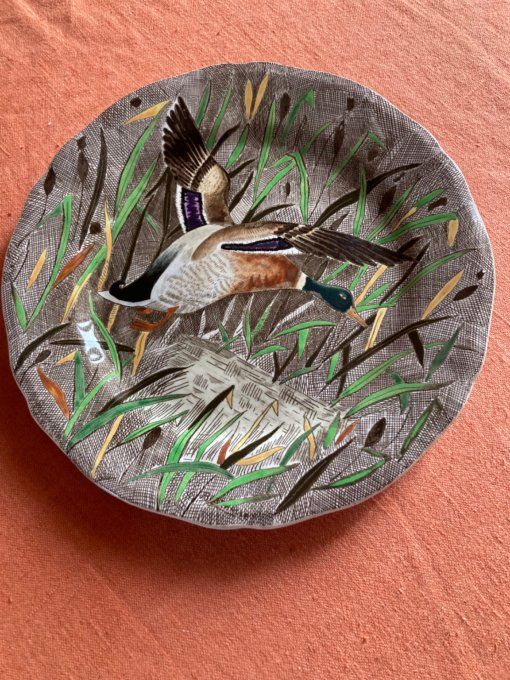 Gien Rambouillet : le Canard Col Vert