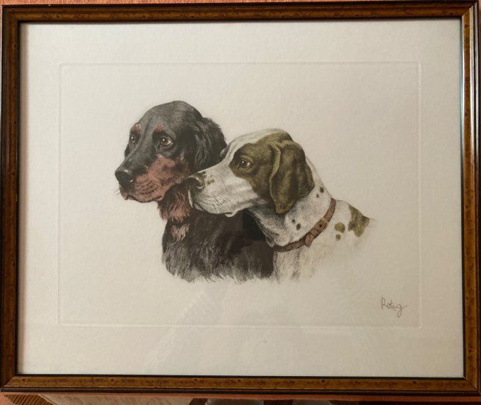 Georges Frederic Rotig. Têtes de Setter et Braque