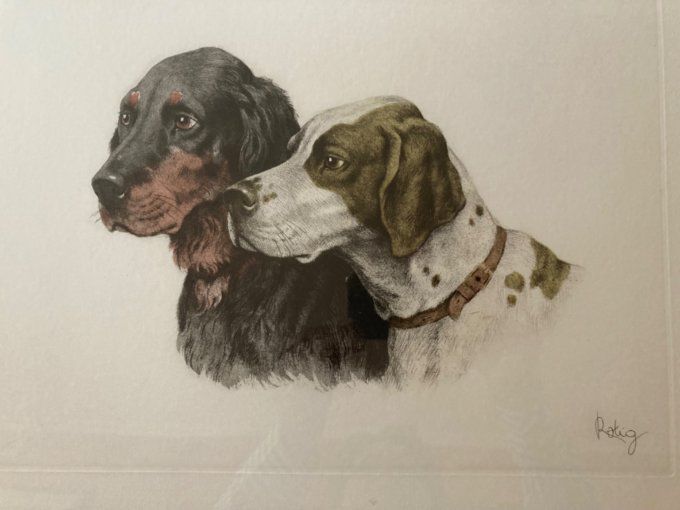 Georges Frederic Rotig. Têtes de Setter et Braque