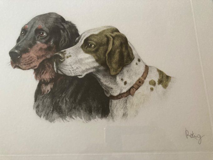 Georges Frederic Rotig. Têtes de Setter et Braque