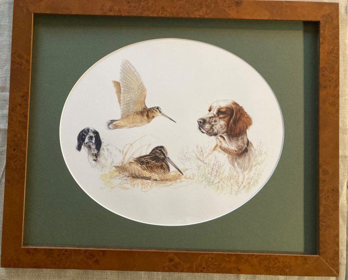 Aline Michel Rouxel Chiens de chasse et Bécasse