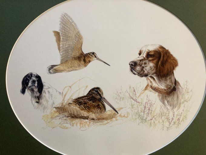 Aline Michel Rouxel  Chiens de chasse et Bécasse