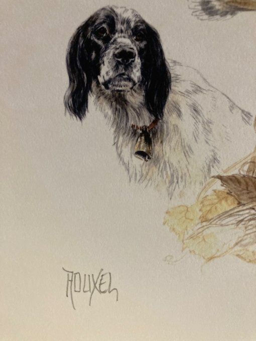 Aline Michel Rouxel  Chiens de chasse et Bécasse