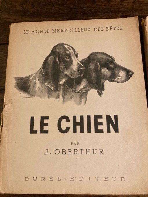 Le monde merveilleux des bêtes : le chien par J Oberthur tome 1 et 2