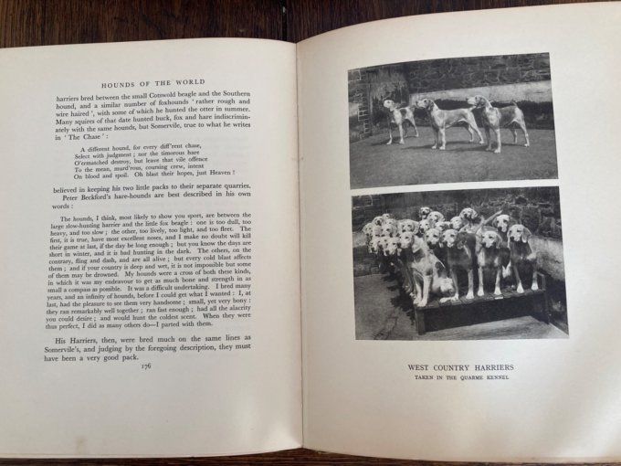 Buchanan-Jardine (Sir John) Hounds of the world.  