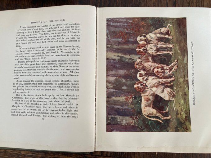 Buchanan-Jardine (Sir John) Hounds of the world.  