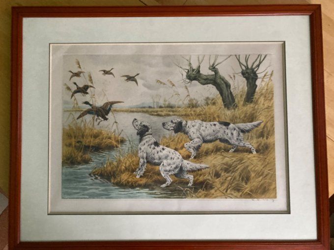 GF Rotig. Les canards