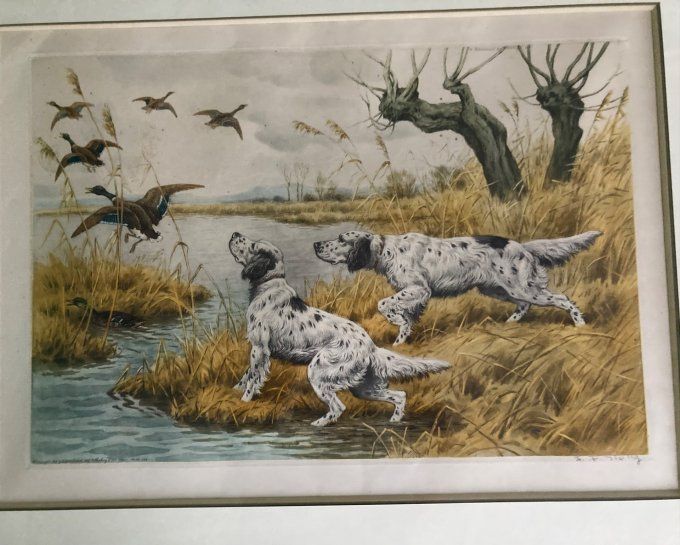 GF Rotig. Les canards