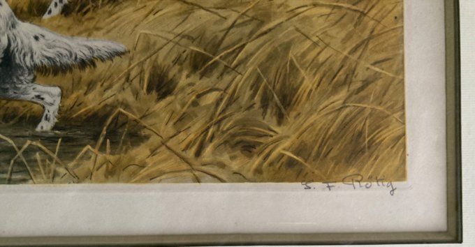 GF Rotig. Les canards