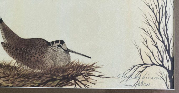 Aquarelle étude de bécasses. Rollan Jean