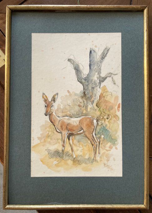 Henri Camus  Aquarelle d une biche