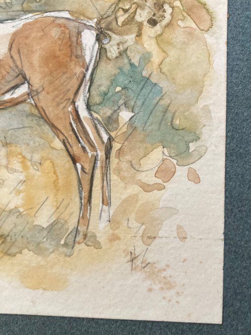 Henri Camus  Aquarelle d une biche