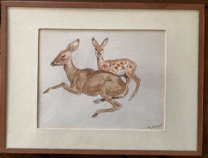 Henri Camus. Biche et son faon