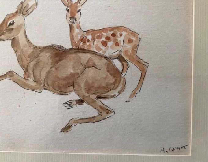 Henri Camus. Biche et son faon