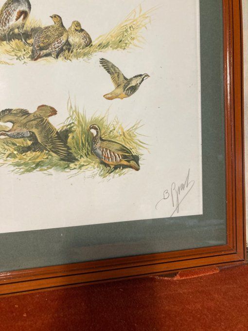 Boris Riab Étude perdrix