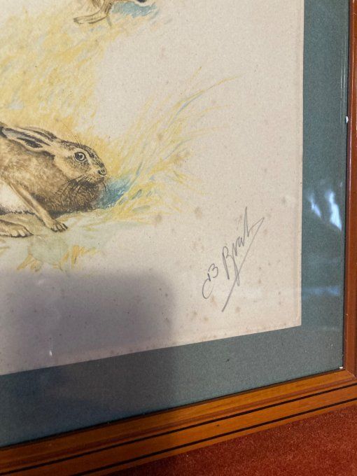 Boris Riab . Étude de lièvre