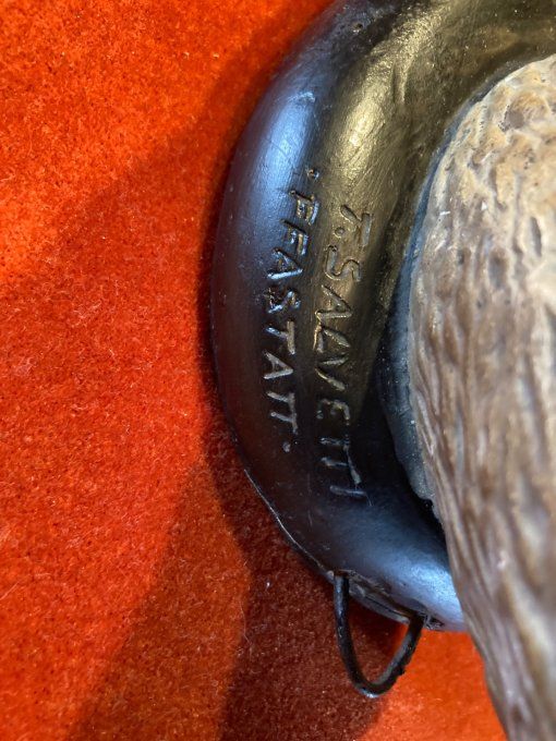 Sculpture tête de Chamois en plâtre T. Salvetti