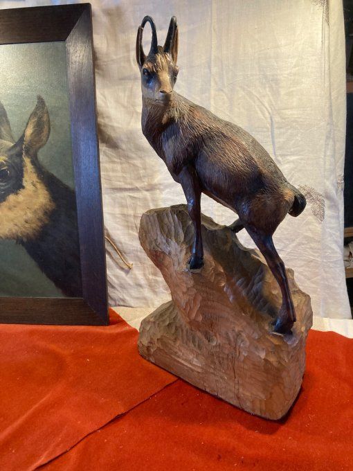 Chamois forêt noire