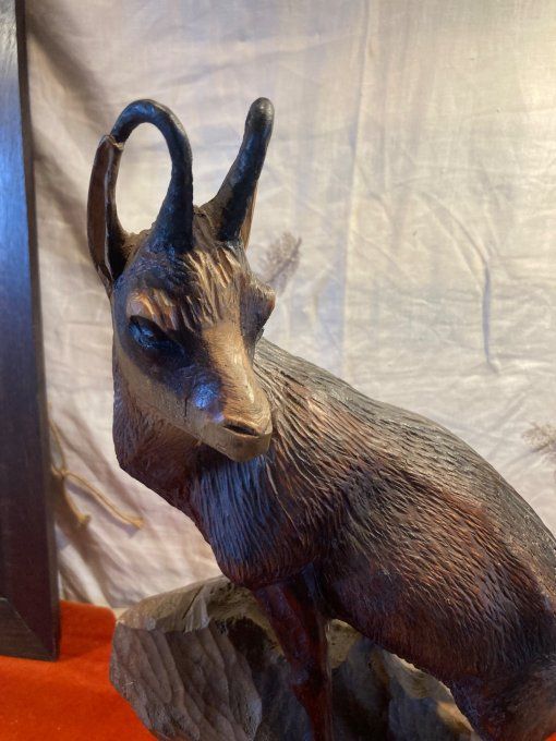 Chamois forêt noire