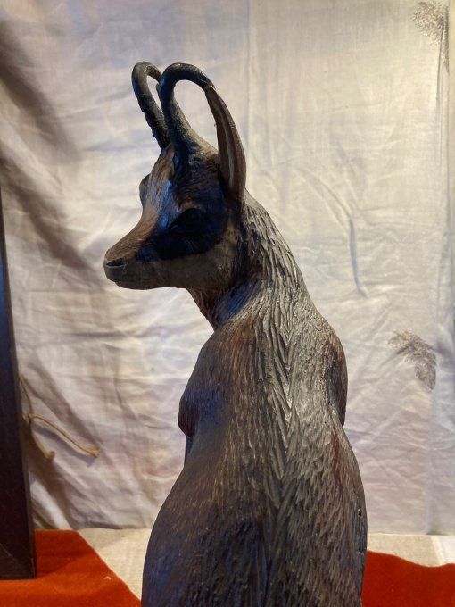 Chamois forêt noire