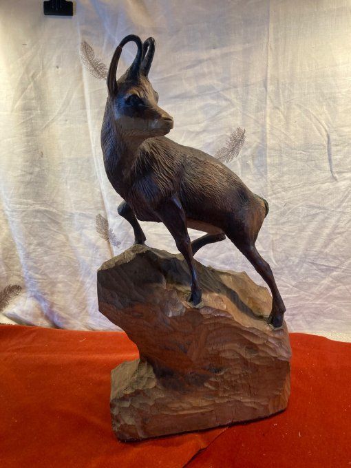 Chamois forêt noire