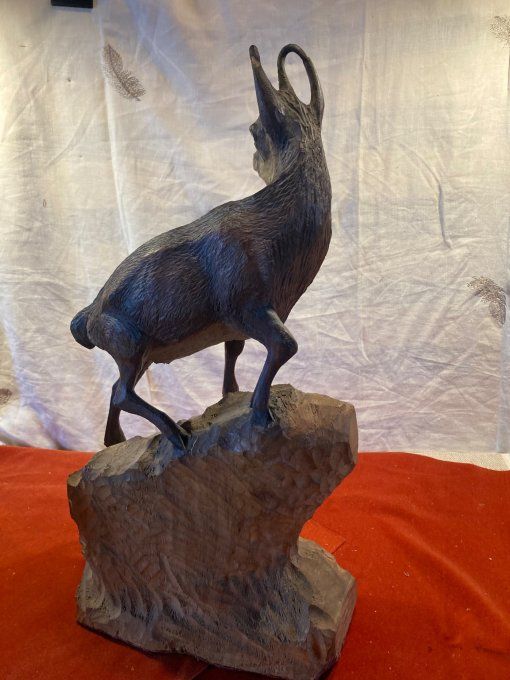 Chamois forêt noire