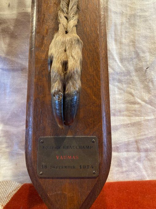 Paire de pied d Honneur de chevreuil : Équipage Beauchamp Vaumas
