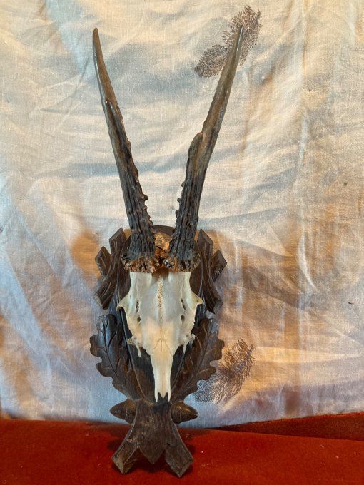 Massacre chevreuil sur support bois