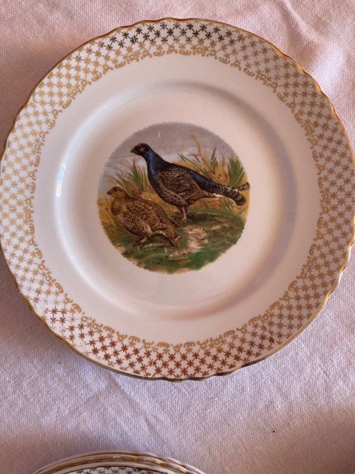 12 assiettes en porcelaine à décor de faisans, perdrix, bécasses