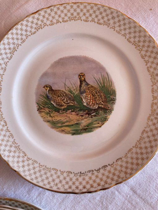 12 assiettes en porcelaine à décor de faisans, perdrix, bécasses