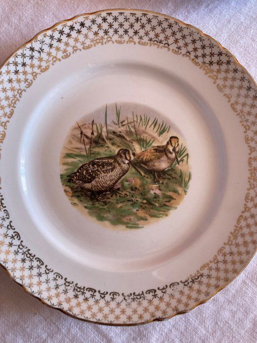 12 assiettes en porcelaine à décor de faisans, perdrix, bécasses