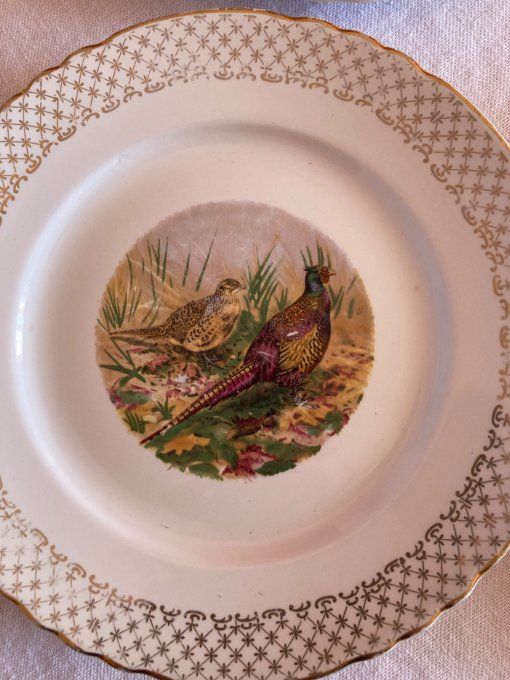 12 assiettes en porcelaine à décor de faisans, perdrix, bécasses