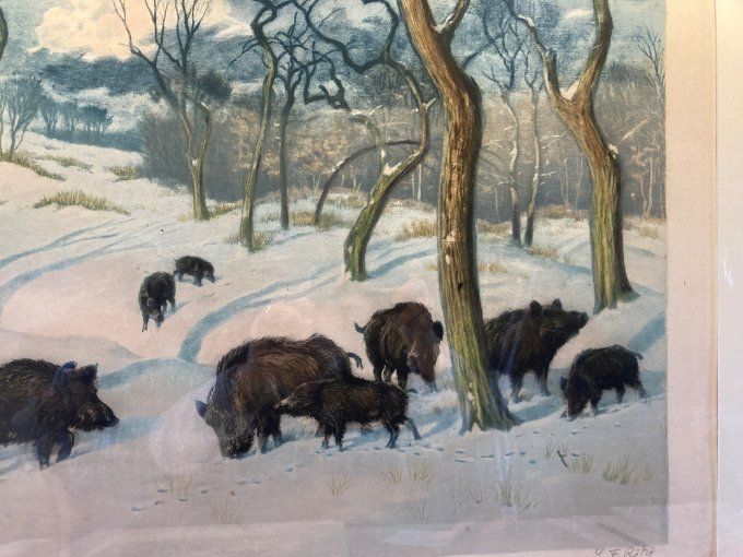 Georges Frédéric Rotig : les sangliers dans le sous bois enneigé.