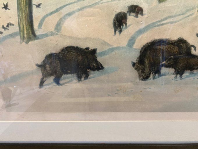 Georges Frédéric Rotig : les sangliers dans le sous bois enneigé.