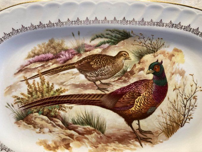 Plat faisan porcelaine à décor de faisans.