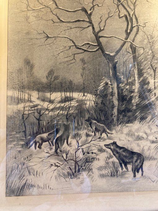 Les loups dans la neige de L.Vertadier