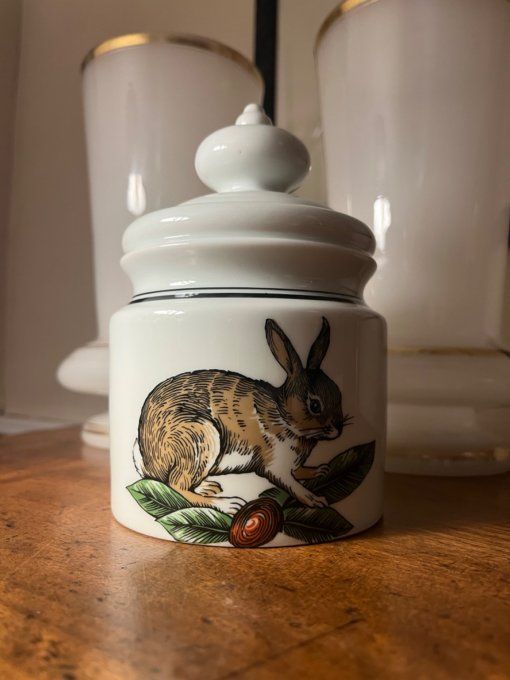 Apilco, porcelaine d Auteuil, moutardier