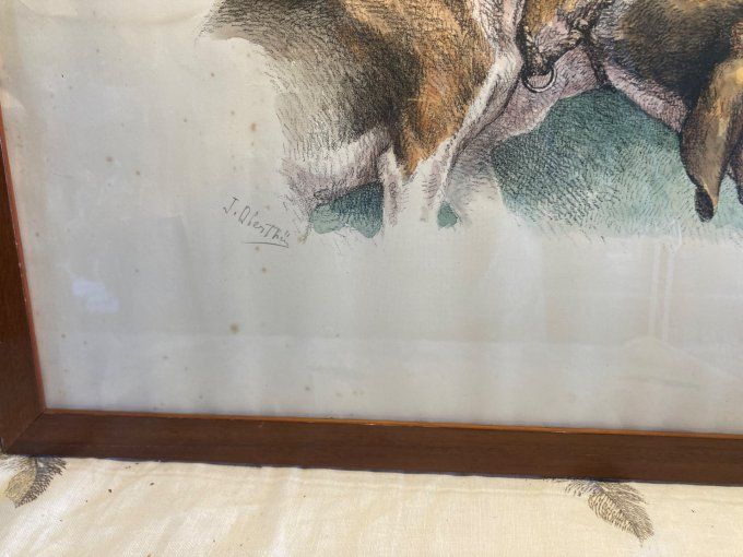 2   Chiens Joseph Oberthur