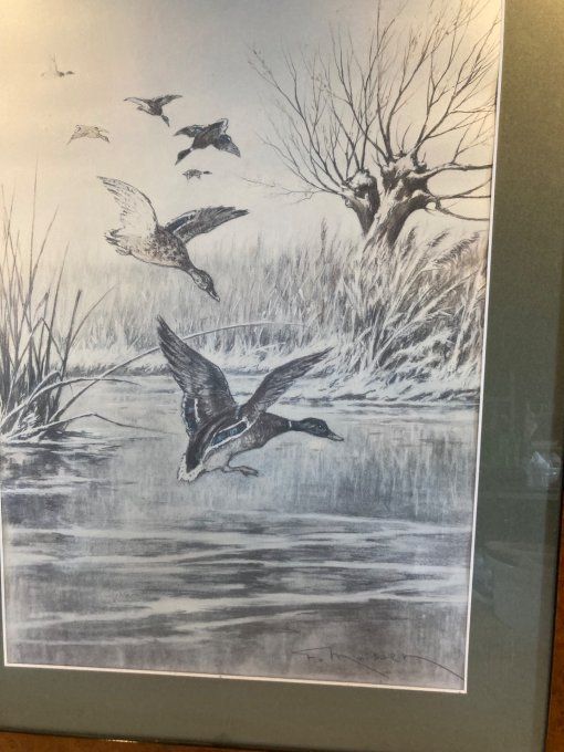 L envol de Canards