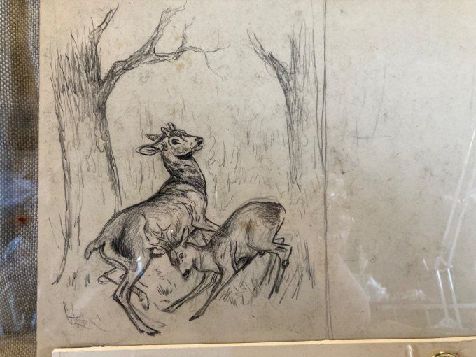 Paul Marcueyz. Biche et son faon