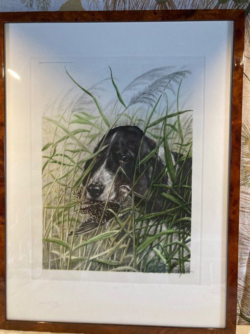 Leon Danchin,  Chien de chasse et becasse.
