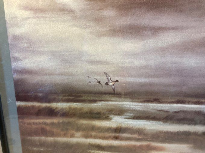 Michel Mieusement : Quatre canards survolant des marais en hiver