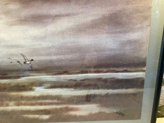 Michel Mieusement : Quatre canards survolant des marais en hiver