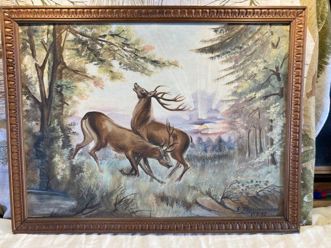 S.Morissonnaud. Cerfs